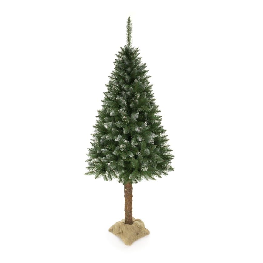 Sapin de Noël 220 cm, épicéa