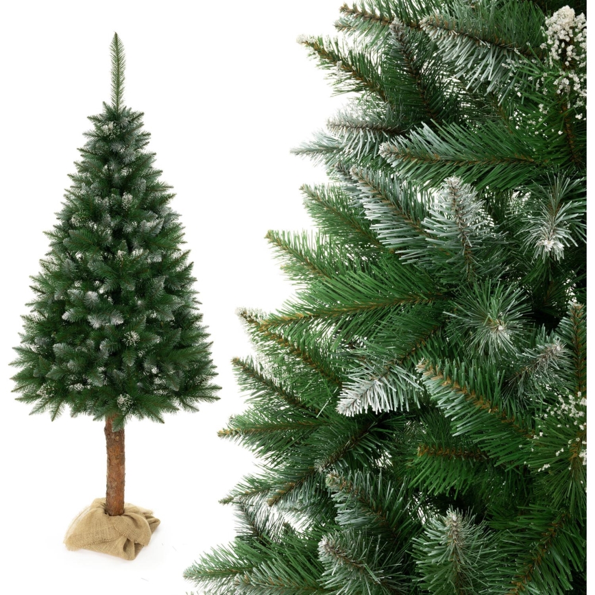 Sapin de Noël sur un tronc 180 cm épicéa