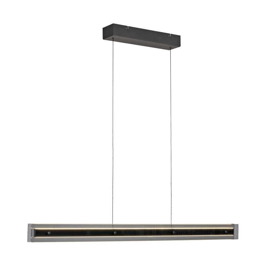 Schöner Wohnen 11316-18 - LED-dimmbare Pendelleuchte mit Seilabhängung LENA, 32 W, 230 V, 105 cm, schwarz