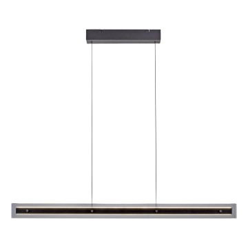 Schöner Wohnen 11316-18 - Lampadario LED dimmerabile su cavo LENA LED/32W/230V nero