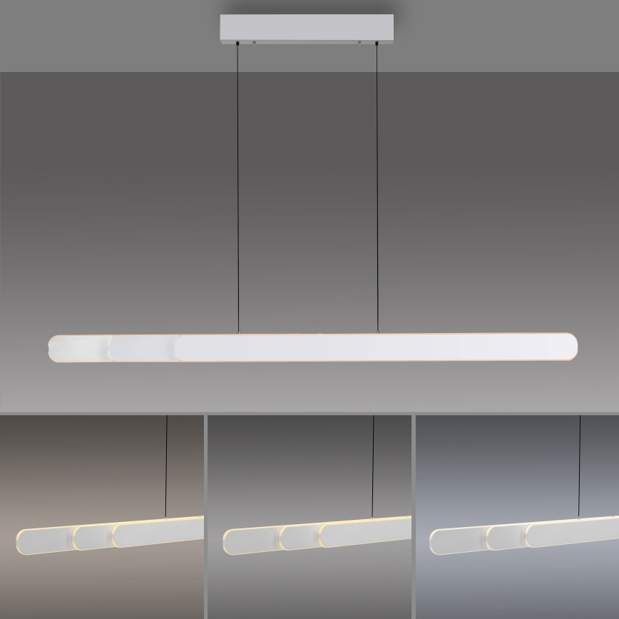 Schöner Wohnen 12577-16 - Suspension LED dimmable sur câble ADRIANA ROUND 2xLED/24W/230V 2700/3000/3500/4000/5000K blanc