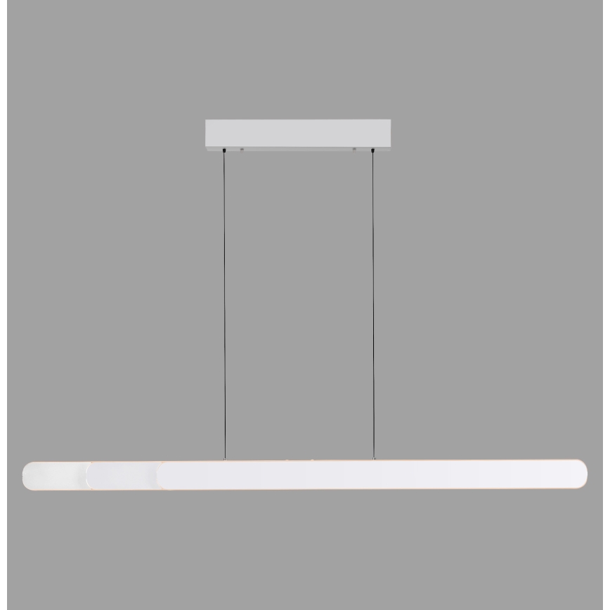 Schöner Wohnen 12577-16 - Suspension LED dimmable sur câble ADRIANA ROUND 2xLED/24W/230V 2700/3000/3500/4000/5000K blanc