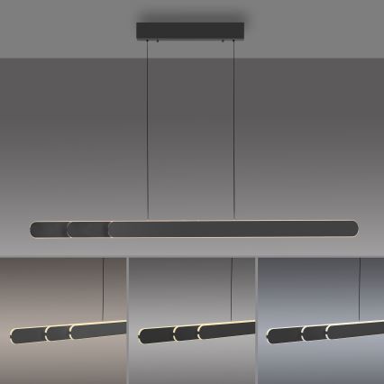 Schöner Wohnen 12577-18 - Lampadario a sospensione dimmerabile ADRIANA ROUND 2xLED/24W/230V 2700/3000/3500/4000/5000K nero
