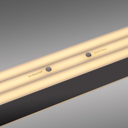 Schöner Wohnen 12577-18 - Lampadario a sospensione dimmerabile ADRIANA ROUND 2xLED/24W/230V 2700/3000/3500/4000/5000K nero