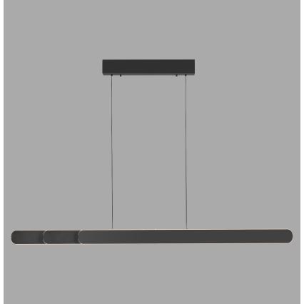 Schöner Wohnen 12577-18 - Lampadario LED dimmerabile a sospensione con cavo ADRIANA ROUND 2xLED/24W/230V 2700/3000/3500/4000/5000K 160 cm nero