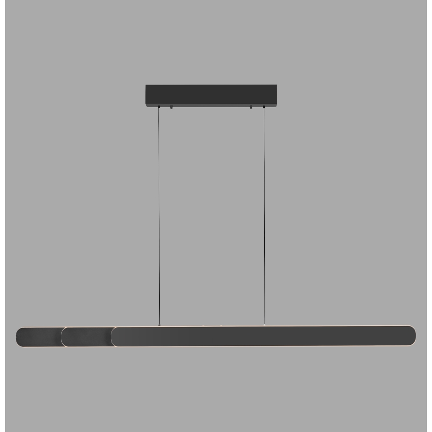 Schöner Wohnen 12577-18 - Lampadario LED dimmerabile a sospensione con cavo ADRIANA ROUND 2xLED/24W/230V 2700/3000/3500/4000/5000K 160 cm nero