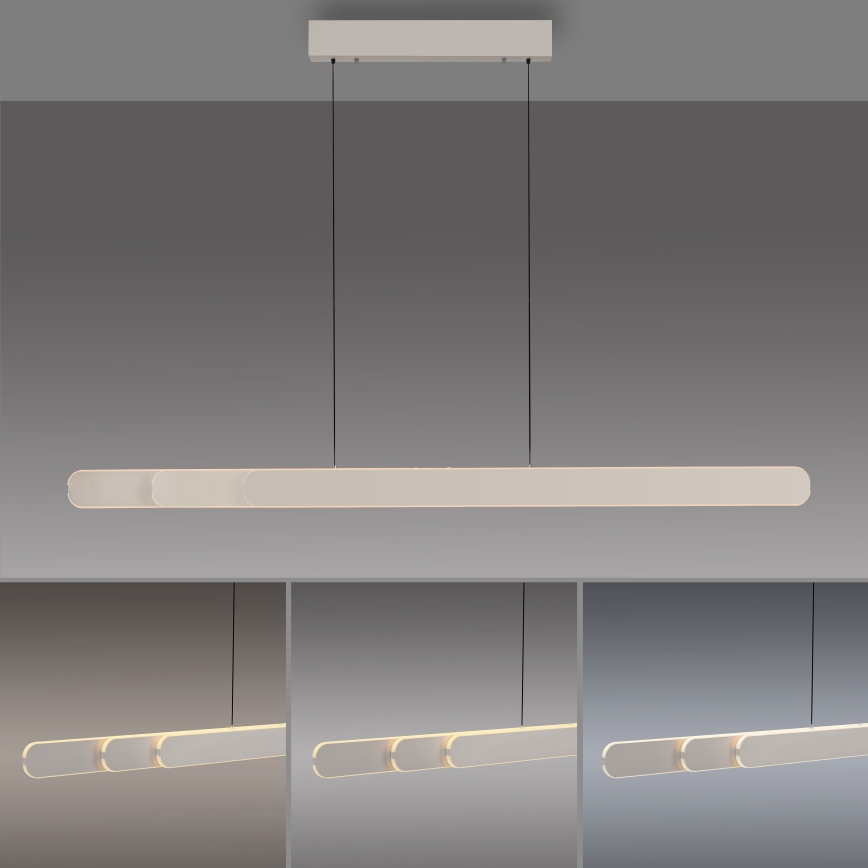 Schöner Wohnen 12577-39 - Sospensione dimmerabile su cavo ADRIANA ROUND 2xLED/24W/230V 2700/3000/3500/4000/5000K grigio