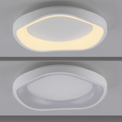 Schöner Wohnen 14233-16 - Dimmbare LED-Deckenleuchte MONTA LED/21W/230V Ø 40 cm weiß