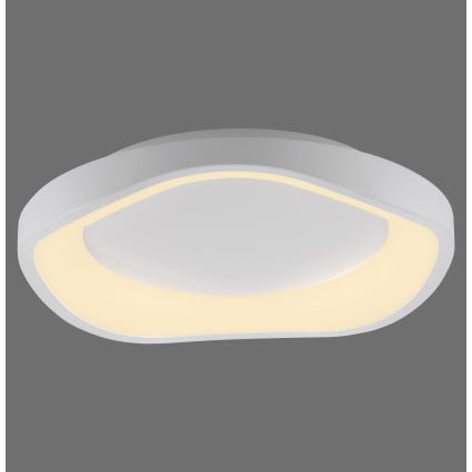 Schöner Wohnen 14233-16 - Plafoniera LED dimmerabile MONTA LED/21W/230V Ø 40 cm bianco