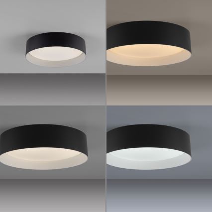 Schöner Wohnen 14593-18 - dimmbare Deckenleuchte TAVOLI LED/10W/230V 2700-6500K Ø 28,5 cm schwarz + Fernbedienung