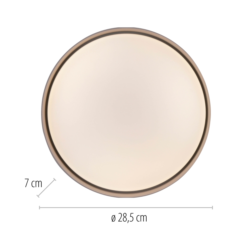Schöner Wohnen 14593-39 - Plafoniera LED dimmerabile TAVOLI LED/10W/230V 2700-6500K Ø 28,5 cm grigio + telecomando