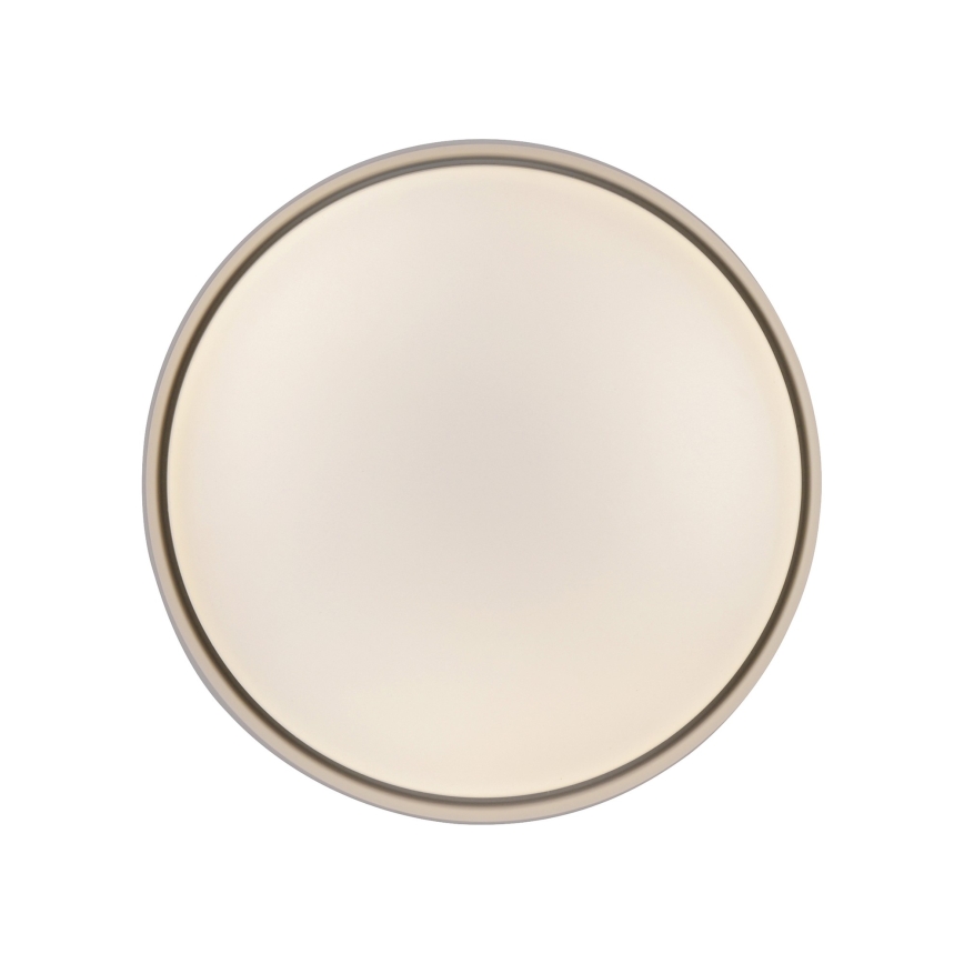 Schöner Wohnen 14593-39 - Plafonnier LED dimmable TAVOLI LED/10W/230V 2700-6500K Ø 28,5 cm gris + télécommande