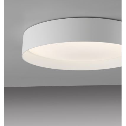 Schöner Wohnen 14594-16 - LED-dimmbare Deckenleuchte TAVOLI LED/20W/230V 2700–6500K Ø 39 cm Weiß + Fernbedienung