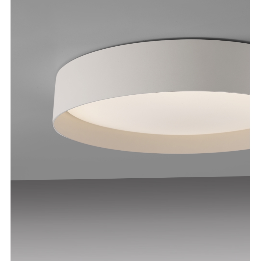 Schöner Wohnen 14594-39 - Plafoniera LED dimmerabile TAVOLI LED/20W/230V 2700-6500K Ø 39 cm grigio + telecomando