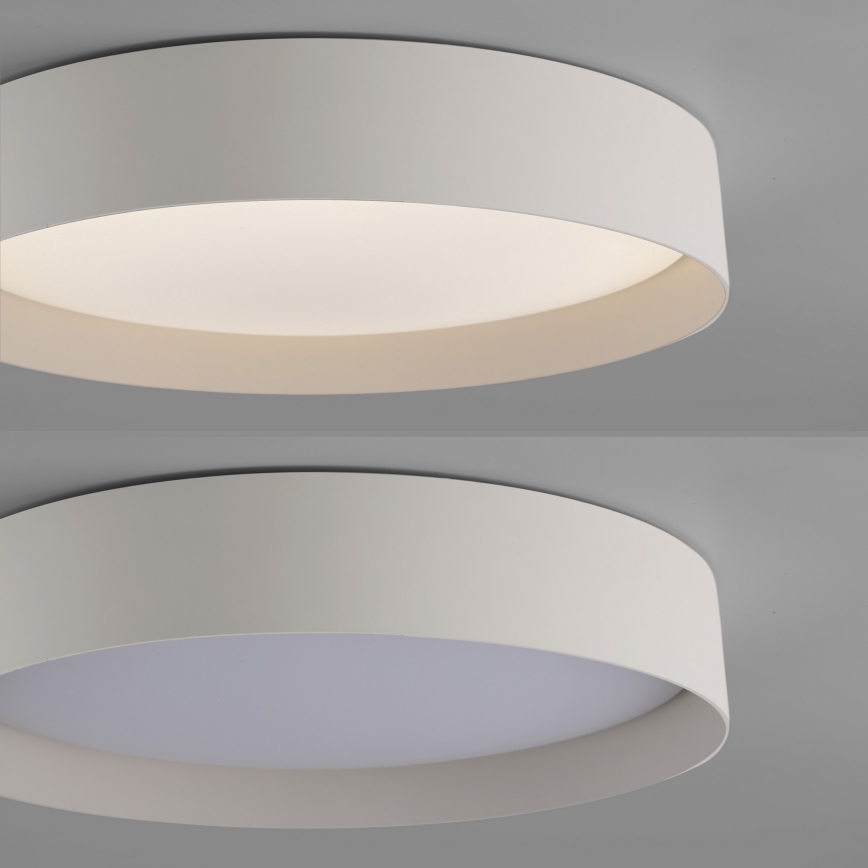 Schöner Wohnen 14594-39 - Plafoniera LED dimmerabile TAVOLI LED/20W/230V 2700-6500K Ø 39 cm grigio + telecomando