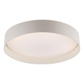 Schöner Wohnen 14594-39 - Plafonnier LED dimmable TAVOLI LED 20 W / 230 V 2700–6500 K Ø 39 cm gris avec télécommande