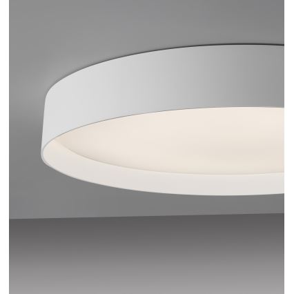 Schöner Wohnen 14595-16 - dimmbare LED-Deckenleuchte TAVOLI LED/34W/230V 2700–6500K Ø 49 cm weiß + Fernbedienung