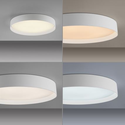 Schöner Wohnen 14595-16 - Plafonnier LED dimmable TAVOLI LED/34W/230V 2700-6500K Ø 49 cm blanc + télécommande