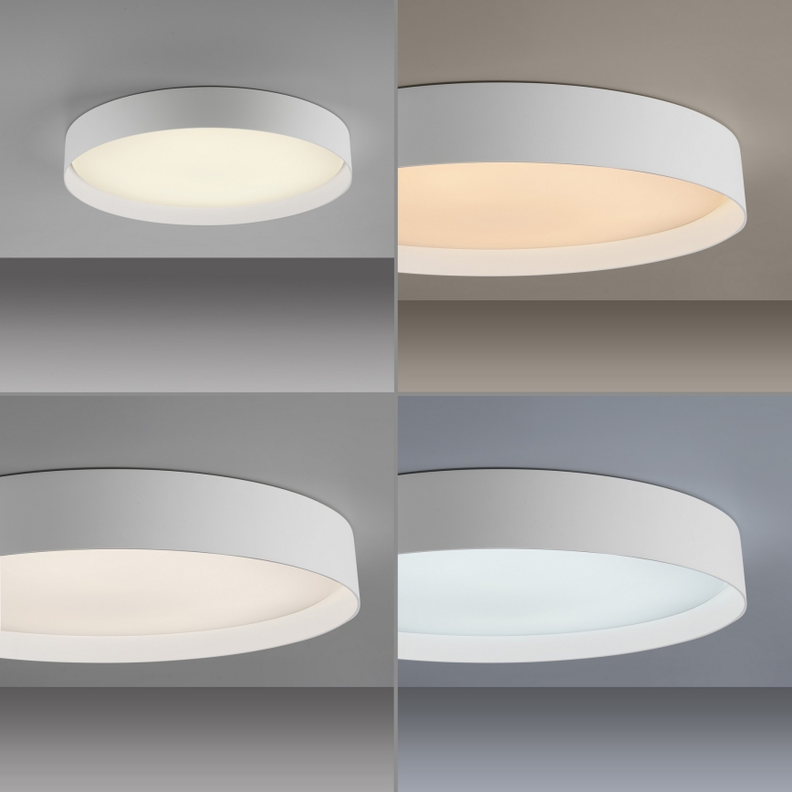 Schöner Wohnen 14595-16 - Plafonnier LED dimmable TAVOLI LED/34W/230V 2700-6500K Ø 49 cm blanc + télécommande