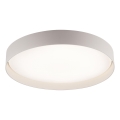Schöner Wohnen 14595-39 - Plafoniera LED dimmerabile TAVOLI LED/34W/230V 2700-6500K Ø 49 cm grigia + telecomando