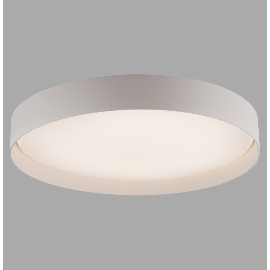 Schöner Wohnen 14595-39 - Plafoniera LED dimmerabile TAVOLI LED/34W/230V 2700-6500K Ø 49 cm grigia + telecomando