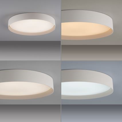 Schöner Wohnen 14595-39 - Plafonnier LED dimmable TAVOLI LED/34W/230V 2700-6500K Ø 49 cm gris + télécommande
