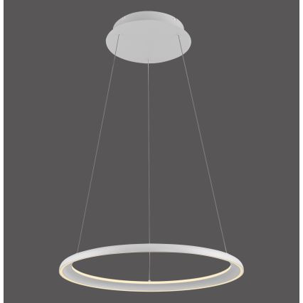 Schöner Wohnen 15570-16 - lampadario sospeso dimmerabile su cavo QUILLO LED/36W/230V Ø 60 cm bianco