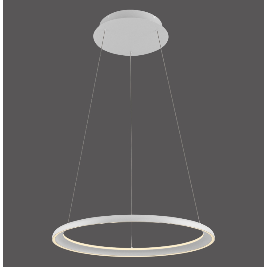 Schöner Wohnen 15570-16 - lampadario sospeso dimmerabile su cavo QUILLO LED/36W/230V Ø 60 cm bianco