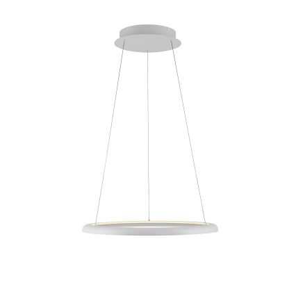 Schöner Wohnen 15570-16 - lampadario sospeso dimmerabile su cavo QUILLO LED/36W/230V Ø 60 cm bianco