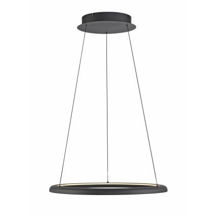 Schöner Wohnen 15570-18 - dimmbare LED-Pendelleuchte an Kabel QUILLO LED/36W/230V Ø 60 cm schwarz