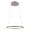 Schöner Wohnen 15570-39 - Lampada a sospensione dimmerabile con cavo QUILLO LED/36W/230V, Ø 60 cm, grigio