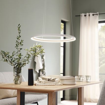 Schöner Wohnen 15570-39 - QUILLO LED-Pendelleuchte, dimmbar, 36W/230V, Ø 60 cm, grau