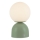 Schöner Wohnen 19218-43 - Lampada da tavolo ricaricabile dimmerabile a sfioramento RUDI LED/1,2W/5V 3000-6000K 1200 mAh verde
