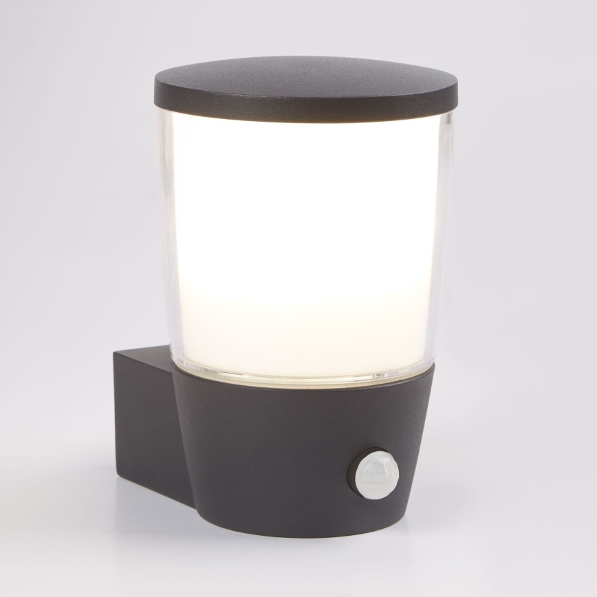 Searchlight - Applique d'extérieur avec détecteur TUSCON 1xE27/7W/230V IP44