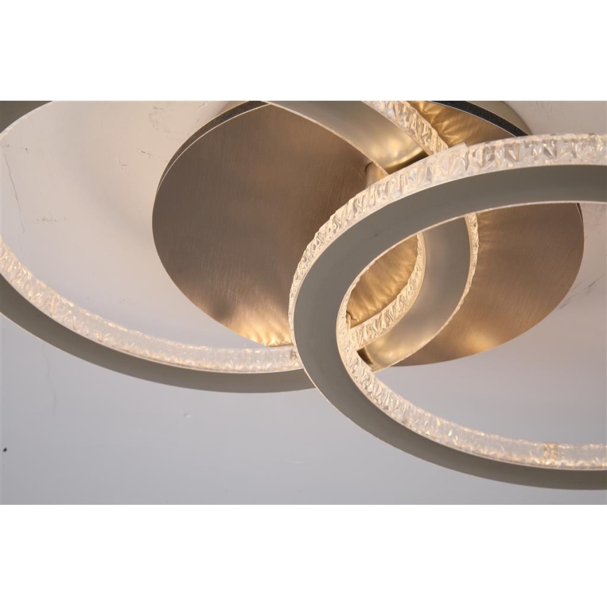 Searchlight - Plafonnier LED dimmable SPECS LED/24W/230V 3000K 25x42,5 cm