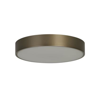 Searchlight - Plafonnier PALMA LED/12W/230V 3000K Ø 25 cm bronze