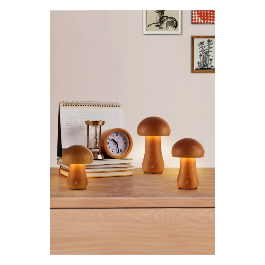 Searchlight - Confezione da 3 lampade da tavolo MUSHROOM LED/1,1W/5V 800 mAh