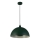 Searchlight - Lampada a sospensione con cavo MARS 1xE27/60W/230V Ø25 cm Verde
