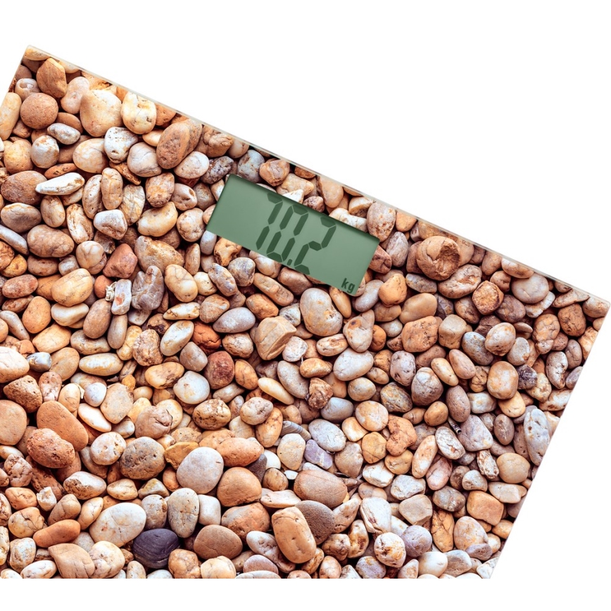 Sencor - Bilancia personale digitale con display LCD 1xCR2032