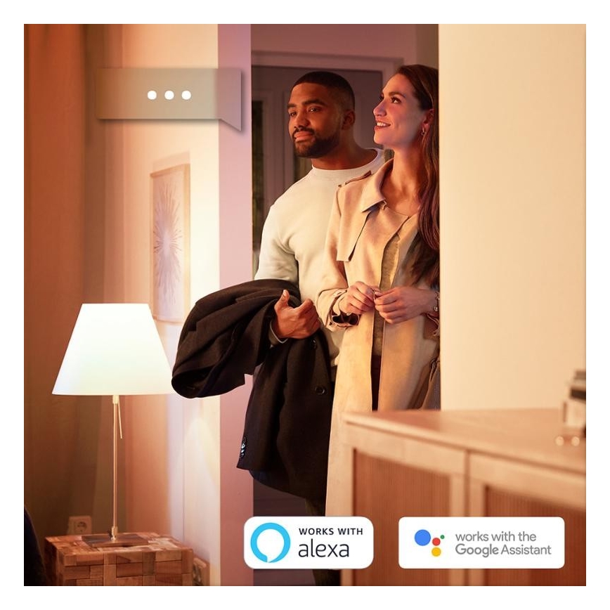 SET 2x Lampadina LED dimmerabile Philips HUE WHITE E27/9W/230V