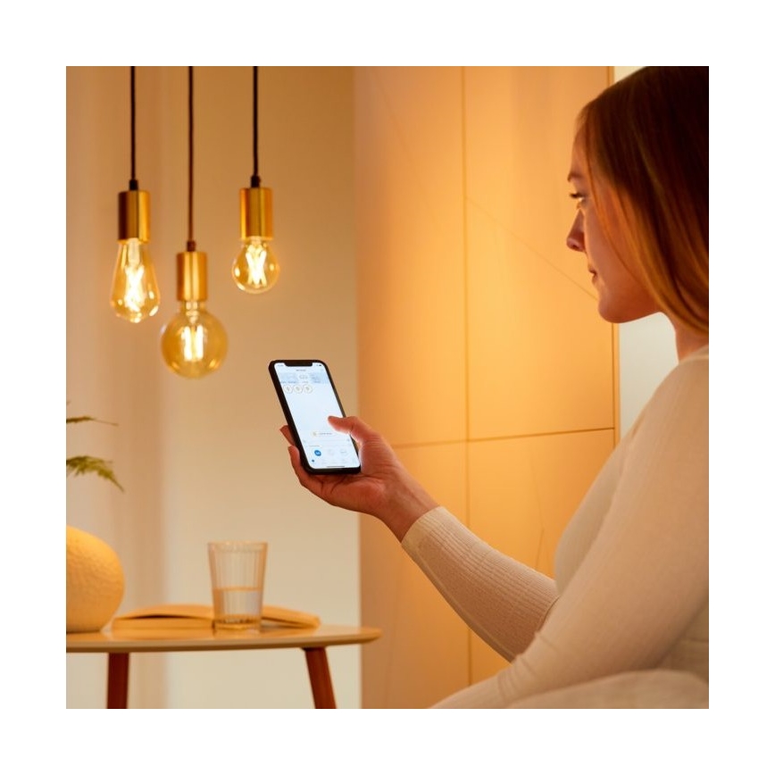 SET 2x Lampadina LED Dimmerabile VINTAGE FILAMENTO ST64 E27/6,7W/230V 2000-5000K Wi-Fi - WiZ