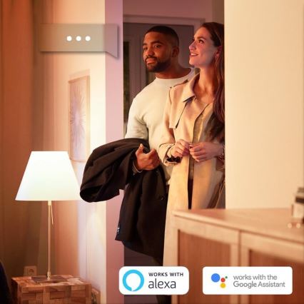 SET 2x LED Dimmbare Glühbirne Philips HUE WHITE E27/9W/230V