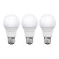 SET 3x Lampadina LED ECOLINE A60 E27/15W/230V 4000K - Brilagi