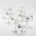 Set 6x tazza di vetro con piattino e 1x zuccheriera limpido bouquet n.4