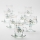 Set 6x tazza di vetro con piattino e 1x zuccheriera limpido bouquet no 3