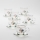 Set 6x tazza di vetro con piattino limpido bouquet no 3