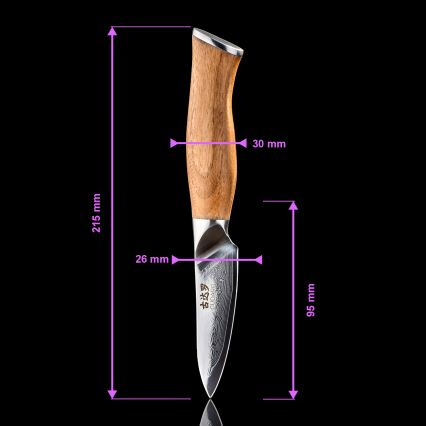 Gudaro - Set di 5 coltelli da cucina in acciaio damascato TAKUMI + ceppo per coltelli e forbici per pollame