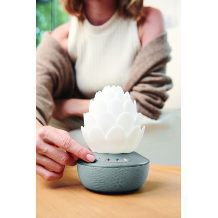 Skip Hop - Capteur LED de pleurs 5V