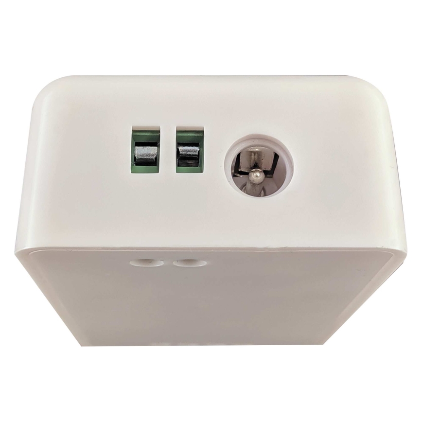 Smart controller per strisce LED unicolor 5-24V Wi-Fi Tuya