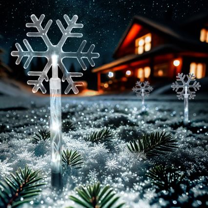 SET 5x LED Lampada di Natale da esterno LED/3xAA/bianco freddo IP44